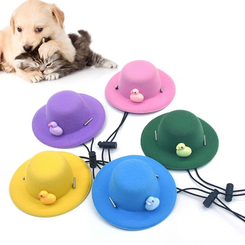Animacinis filmas Kačiukas Juokinga kepurė Miela naminių gyvūnėlių reikmenys Vilnonis audinys šuniui apsauga nuo saulės Kepuraitė Cosplay Pet Miela puošniai apsirengti