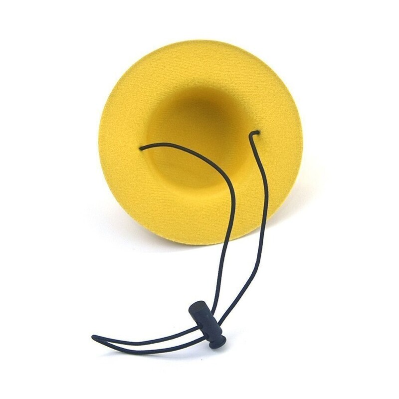 Animacinis filmas Kačiukas Juokinga kepurė Miela naminių gyvūnėlių reikmenys Vilnonis audinys šuniui apsauga nuo saulės Kepuraitė Cosplay Pet Miela puošniai apsirengti