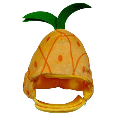 Juokingi skrybėlių naminių gyvūnėlių vaisių galvos apdangalai, tinkantys katėms ir šunims