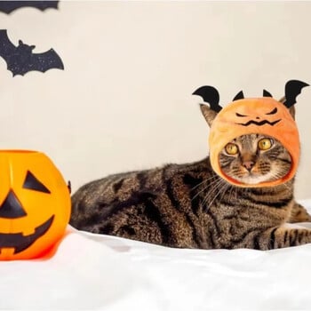 Νέο κατοικίδιο ζώο αποκριάτικο καπέλο Teddy Dress Up Bat Pumpkin Party Headwear Cat Cute Headgear Ghost Festival Party Pet Στολή για γάτες