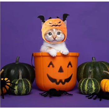 Νέο κατοικίδιο ζώο αποκριάτικο καπέλο Teddy Dress Up Bat Pumpkin Party Headwear Cat Cute Headgear Ghost Festival Party Pet Στολή για γάτες