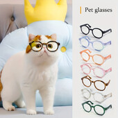 Žavingi akiniai katėms: puikūs akiniai augintiniams tobulai augintinio fotosesijai!