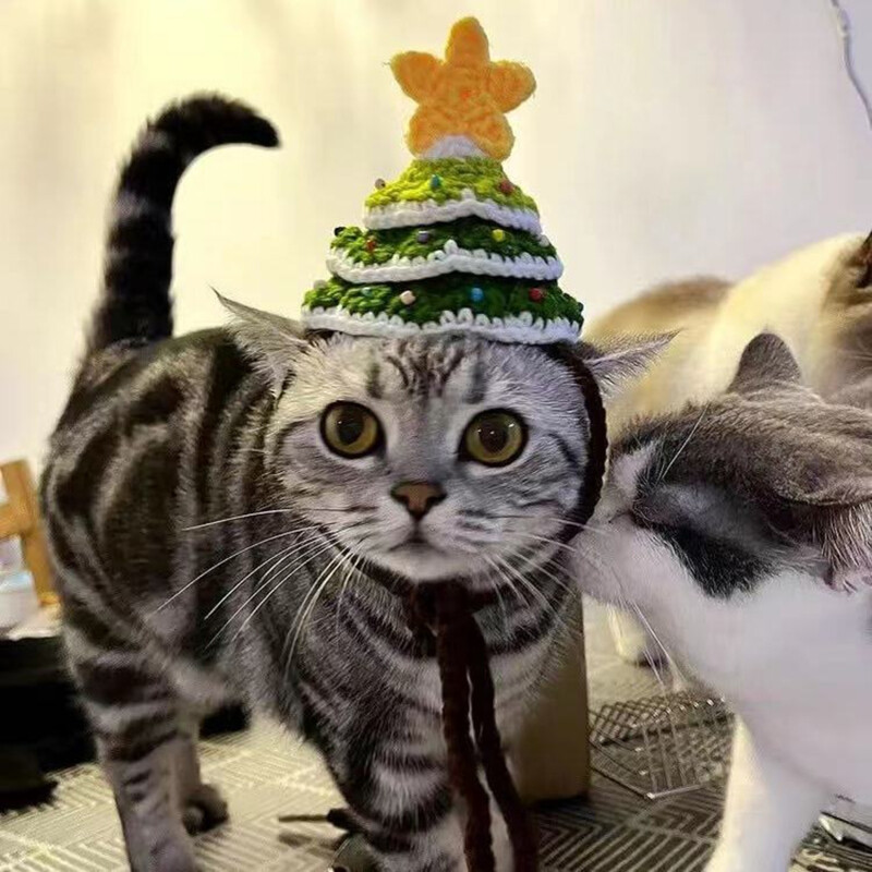 Kalėdų eglutės augintinio kepurė 