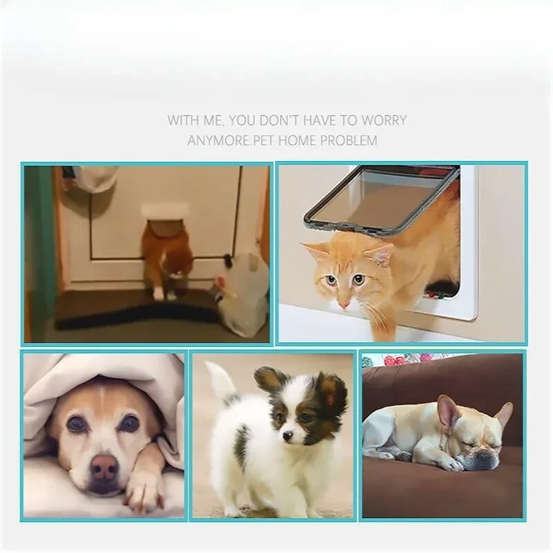 1 tk kassi koera klappuks neljasuunaliselt lukustatava kassipoja väikese lemmiklooma kahekordse sisse- ja väljapääsuuksega, ilmastikukindlate lemmikloomade turvauksed