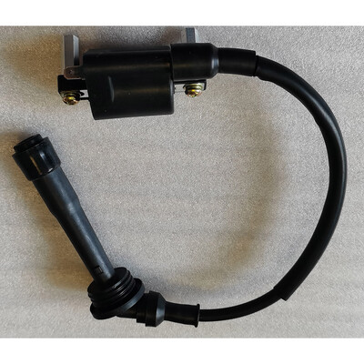 Uždegimo ritė ASSY, skirta Benelli BN251 BN250 TNT25 TNT250 / BN TNT 25 250 251 BJ250 TRK251 Leoncino 250 TRK 251