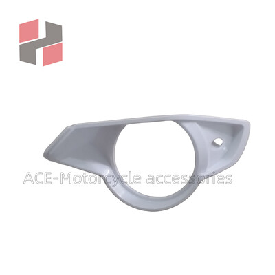 Eesmise vasaku nina esitulede ümbritsev kattekiht BMW S1000R 2015 2016 - 2018 kaitsepaneeli esitulede katte korpus BMW S1000R jaoks