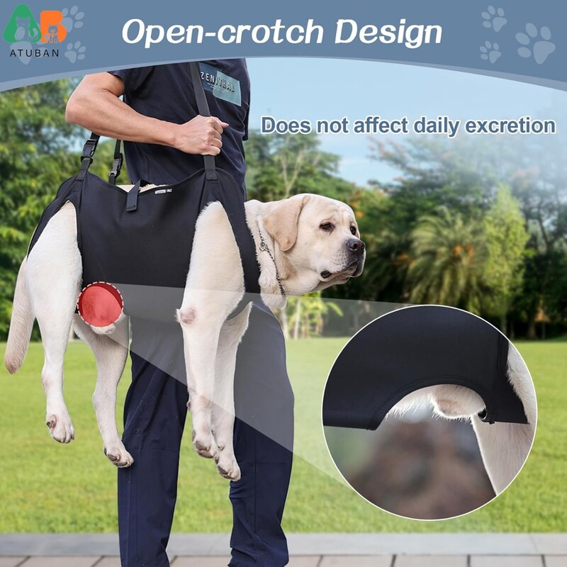 Šuns pakėlimo diržai Reguliuojami viso kūno atraminiai šuns diržai Kvėpuojantys dirželiai, skirti pagalbiniam judumui šuns kojų klubų reabilitacijos pakėlimas