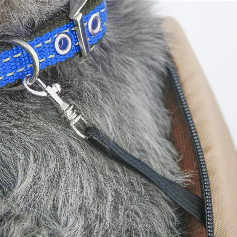 Kvėpuojanti mažų naminių gyvūnėlių nešioklė Vasarinė naminių šunų nešioklė Nešiojama naminių gyvūnėlių nešyklė ant pečių Juodos katės šunų nešyklės mažiems šunims