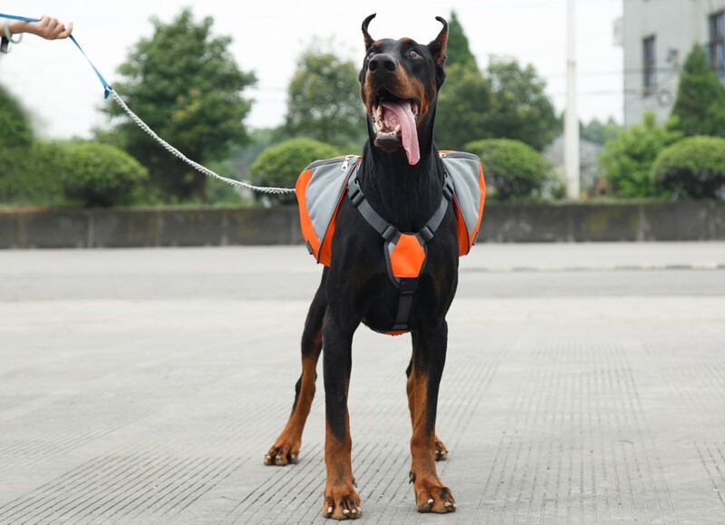 Nešiojama šunų kuprinė, užkandžių krepšys, šunų dresavimo krepšys, laikymo krepšys, kuprinė, kelioninis krepšys, kuprinė su šviesą atspindinčia juostele ir užpakalinė kišenė