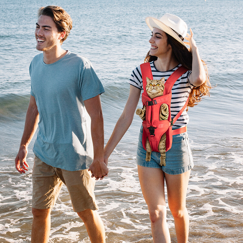 Rucsac portabil respirabil pentru caini si pisici, calatorie in aer liber, geanta exterior, nou