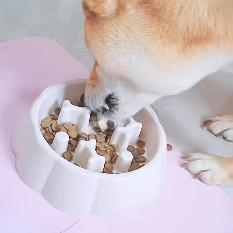 Kvadratinis gyvūno lėtas šėrimas katės dubuo nuo užspringimo šuniui dėlionė Maisto dubuo vandens baseinas, apsaugantis nuo apsivertimo katės maitinimo gėrimo indas