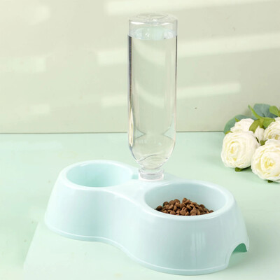 Naminių kačių dubuo automatinis tiektuvas vandens dozatorius šunų kačių ėdalo dubuo su pakeltu gėrimo stovu Dvigubas indas katėms šunims augintiniams