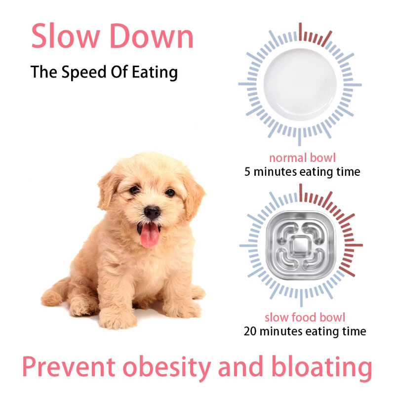 Nerūdijančio plieno naminių šunų dubenys lėtam tiektuvui, neslystantys galvosūkiai, interaktyvūs dubenys, apsaugantys nuo užspringimo, mažiems ir vidutiniams šunims