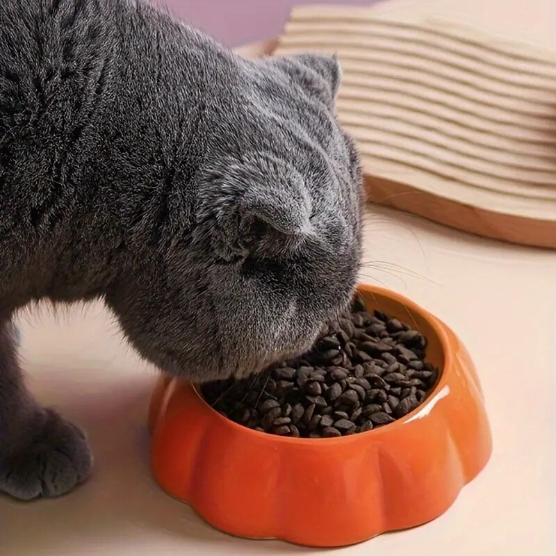 Vaisių dizaino naminių kačių dubuo Keraminis kačių ėdalo ir vandens tiektuvas, mažinantis apyvartą kačių tiektuvas, baseinas arbūzas braškių moliūgų apelsinas