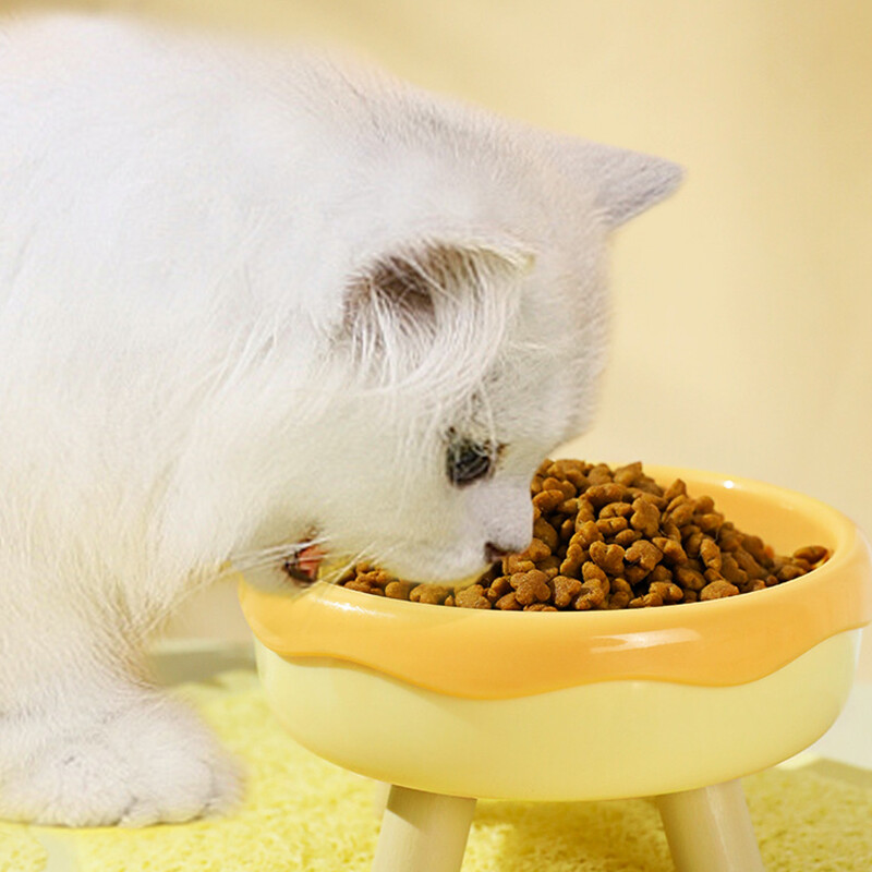 Kačių dubuo katėms su pakeltu stovu Naminių gyvūnėlių ėdalas Kačių lesyklėlė Protect Cervical Vertebra kačių maisto dubuo šunims Naminių gyvūnėlių produktai