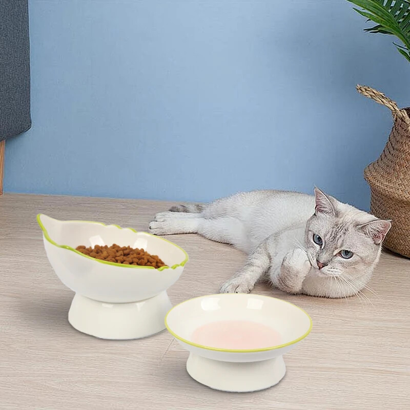 Pakeltas kačių dubuo Paaukštintas kačių maisto dubuo Stabilus Apsaugokite augintinio stuburą Patvarus naminių gyvūnėlių maitinimo indas Kačiukas Vandens dubuo katėms Šunims