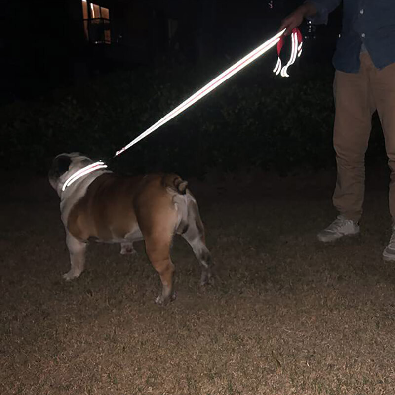 Katės, šunys, apykaklė, švininis dirželis, naktinis atspindys šunų augintinio vilkimo virvė 1,2/1,5/1,8 m Apsauginė virvė, skirta augintinio vaikščiojimo treniruotėms