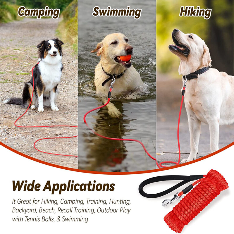 Suņu apmācības siksna 50 FT 30 FT 15 FT 10 FT mājdzīvnieku suņu pavada neilona, gara virve, mīksts polsterēts rokturis lieliem vidējiem maziem suņiem