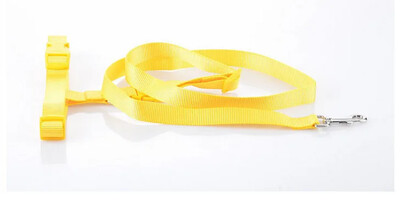 1 vnt Reguliuojamos rankos Katės Šuo Laisvas Bėgimas Vaikščiojimas Bėgimas naminiams gyvūnėliams pavadėlis juosmens diržas Krūtinės dirželis Dovanų traukimo virvė naminiams gyvūnėliams reikmenys