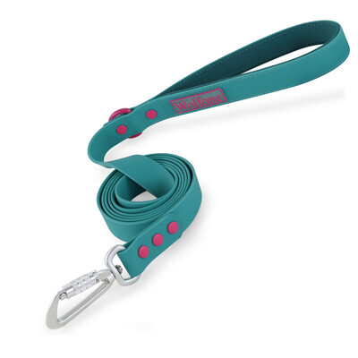Πόρπη από κράμα αλουμινίου Big Dog Leash Handle and Luxury Outdoor dog walking Universal για μεγάλους μεσαίους και μικρούς σκύλους Λουρί σκύλου