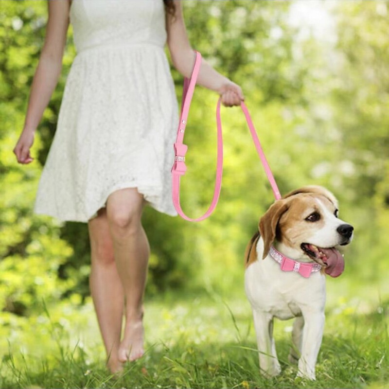 Zamatové kožené vodítko pre domáce zvieratá s kamienkami, blikajúci motýľ, módne doplnky na vodítka pre domáce zvieratá, naslepo, dropshipping