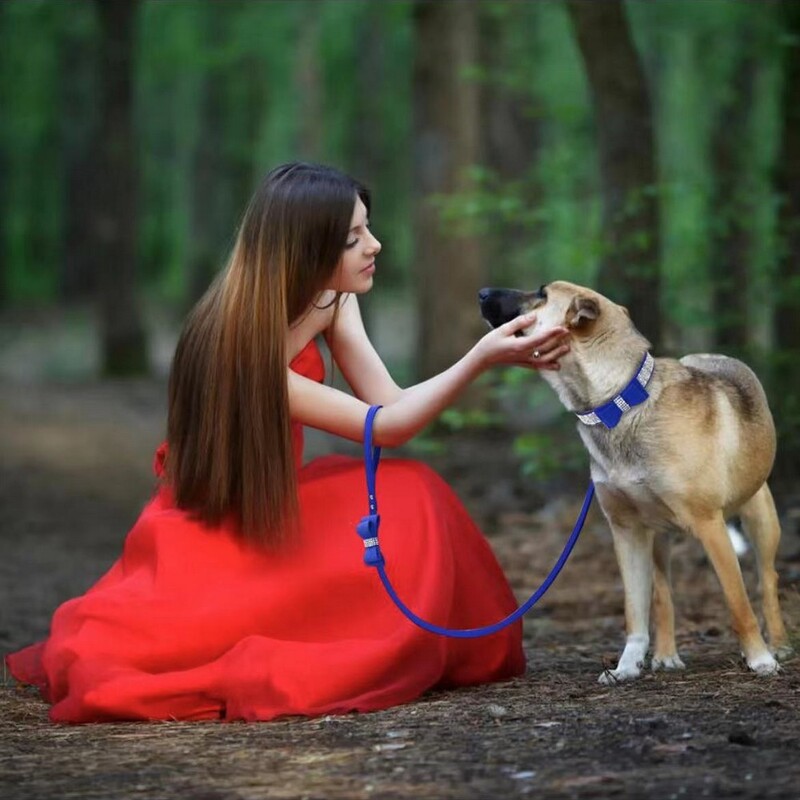 Zamatové kožené vodítko pre domáce zvieratá s kamienkami, blikajúci motýľ, módne doplnky na vodítka pre domáce zvieratá, naslepo, dropshipping