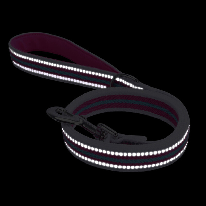 Naktinis atspindys šuo naminių gyvūnėlių vilkimo virvė Apsauga virvė augintinio vaikščiojimo treniruotė pavadėlis katės šunys pakinktai antkaklis šviesą atspindintis švino dirželis