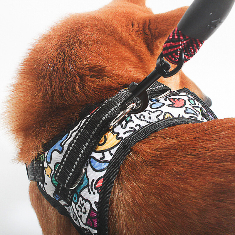 Šuns pavadėlis su patogia paminkštinta rankena Dvigubos traukos lyno šunų priedai mažiems dideliems šunims padidina saugumą ir valdymą