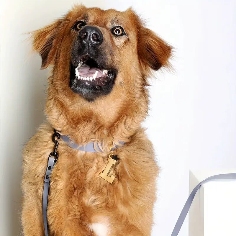 Šunų pavadėlis PVC pavadėliai 1,2 M patvarūs, vandeniui atsparūs lengvai švarūs vaikščiojimo pratimai dideliems vidutiniams mažiems šunims