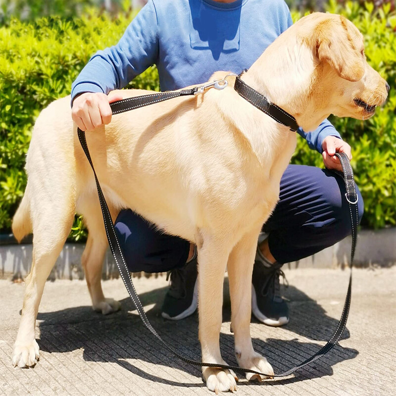 1,2/1,5/1,8 m Nailoninis gyvūnas Naktinis atspindys vilkimo lynas Naminis gyvūnas lauke Vaikščiojimas treniruoklis Dideli vidutiniai ir maži šunys Apsauginė virvė