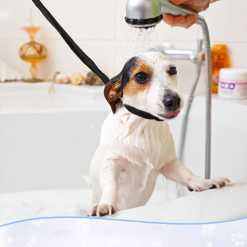 Mājdzīvnieku suņu kopšanas cilpas dušai peldēšanai regulējamas suņu kaķu mājdzīvnieku cilpas siksnas Regulējams mājdzīvnieku kopšanas galds Mājdzīvnieku piederumi