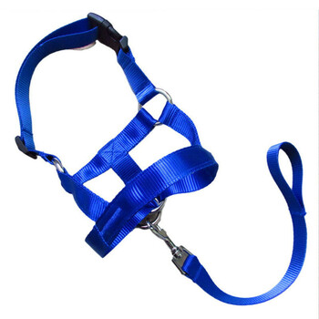 Creative Dog Halter Halti Training Head Collar Gentle Leader Harness Nylon Breakaway All Seasons Usefull Harnesses Lead hot