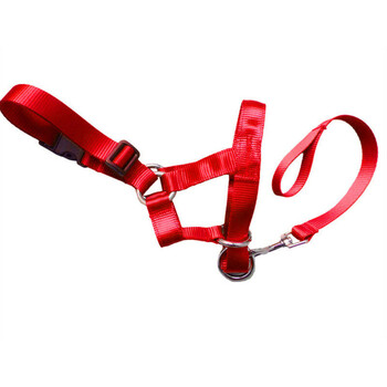 Creative Dog Halter Halti Training Head Collar Gentle Leader Harness Nylon Breakaway All Seasons Usefull Harnesses Lead hot