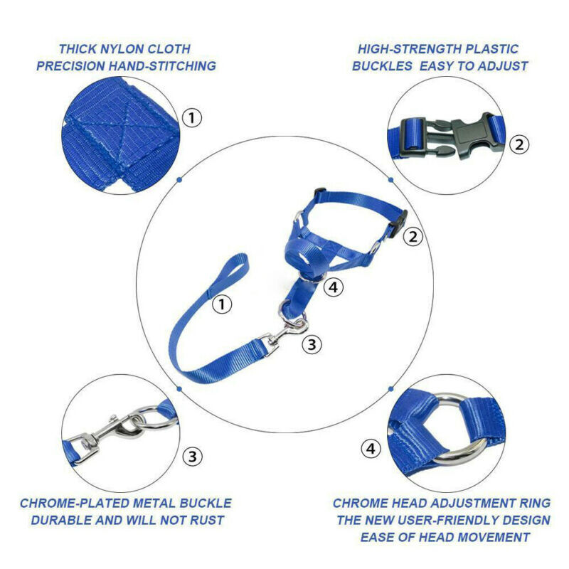 Kūrybingas šunų apynasris Halti treniruojamasis antkaklis Švelnus vadelio diržas nailonas, atsegamas visus sezonus Naudingi diržai Švinas karštas