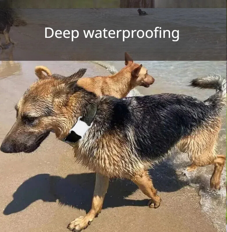 2024 m. naujas vandeniui atsparus lokatorius mini GPS sekiklis Mėlyndantis belaidis kačių ir šunų sekiklis Išmanusis gyvūnų ieškiklis naminių gyvūnėlių padėties nustatymo priemonė