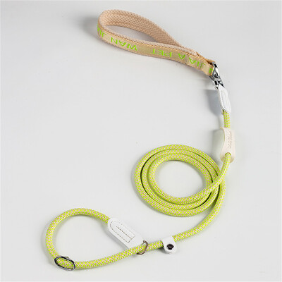 Guleră ajustabilă pentru câini Lesă din nailon cu plumb pentru animale de companie Durabilă Antrenament câinilor Funie de sufocare Lanț în formă de P Lesă de control al plumbului