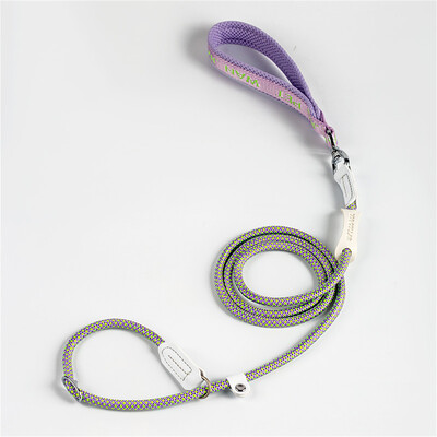 Guleră ajustabilă pentru câini Lesă din nailon cu plumb pentru animale de companie Durabilă Antrenament câinilor Funie de sufocare Lanț în formă de P Lesă de control al plumbului