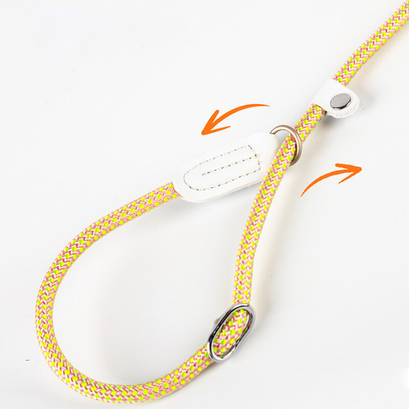 Guleră ajustabilă pentru câini Lesă din nailon cu plumb pentru animale de companie Durabilă Antrenament câinilor Funie de sufocare Lanț în formă de P Lesă de control al plumbului