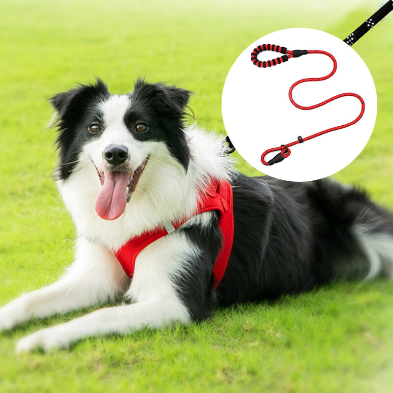 Lesă durabilă din nailon pentru câini pentru animale de companie, cățeluș, plimbări reflectorizante, lesă, alergare, curea de plumb, frânghie pentru câini mici, mijlocii mari, guler