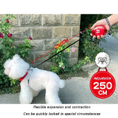 Naminių gyvūnėlių ištraukiamas šunų pavadėlis Automatinis pavadėlio pratęsimas naminiams gyvūnėliams šuniukų šunų priedai Čihuahua Jorkšyro nailono reguliuojamas