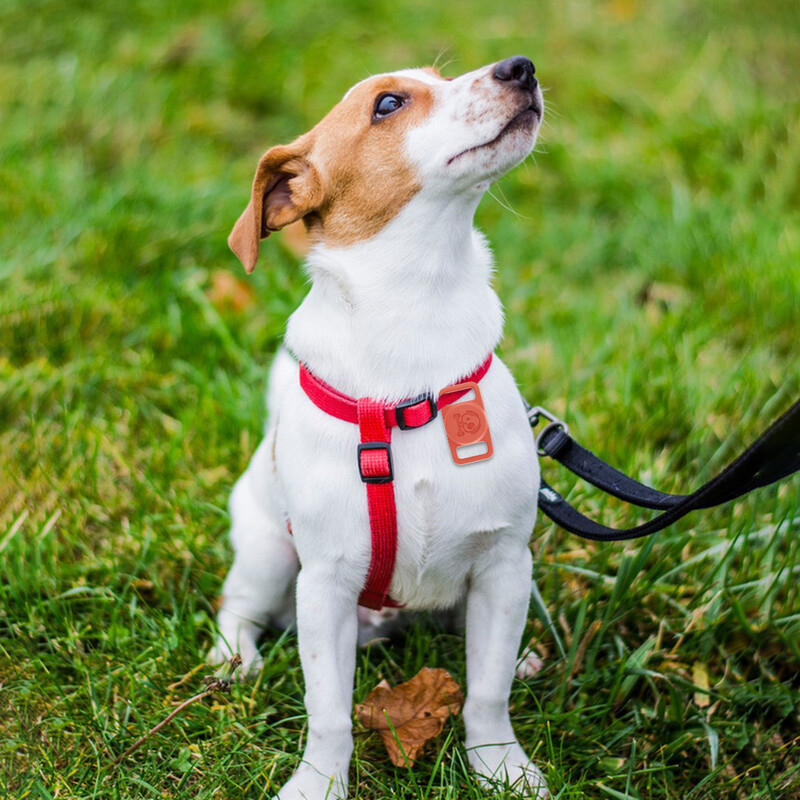 Apple Airtag dėklas Air Tag laikikliui Atsparus vandeniui AirTag šunų antkaklio laikiklis Katės antkaklio naminių gyvūnėlių dėklas Silikoninis, atsparus įbrėžimams