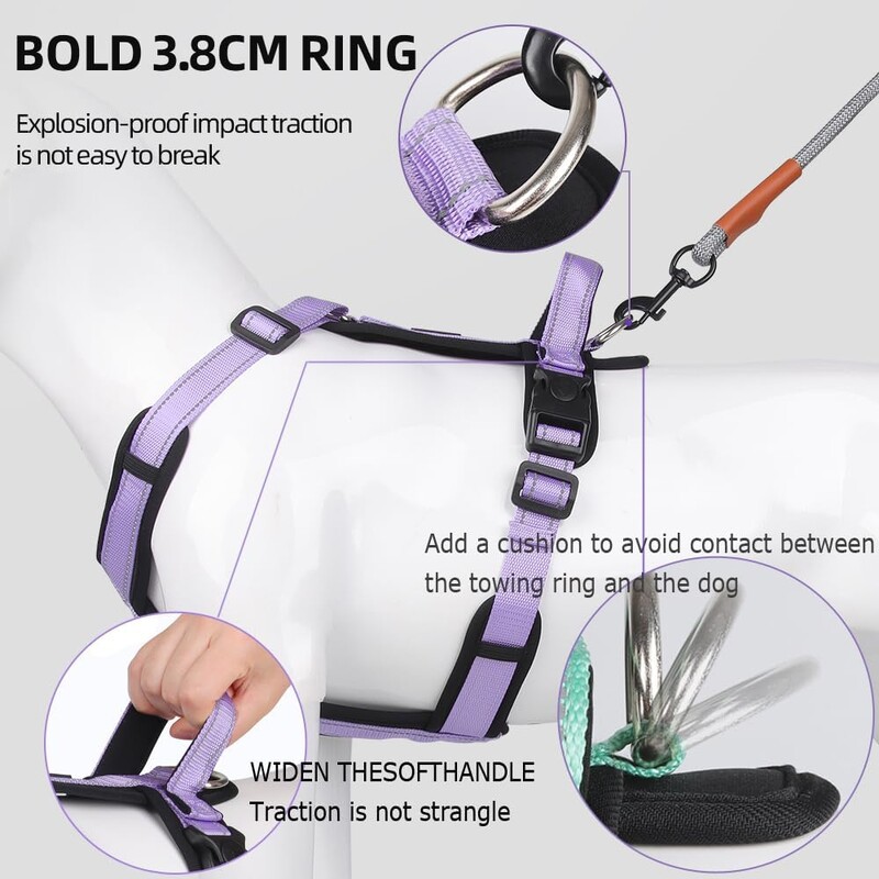 Y formos šunų diržai su reguliuojamu tvirtu nailonu, minkštu paminkštinimu, metalinėmis sagtimis ir odine rankena mažiems, vidutiniams ir dideliems šunims