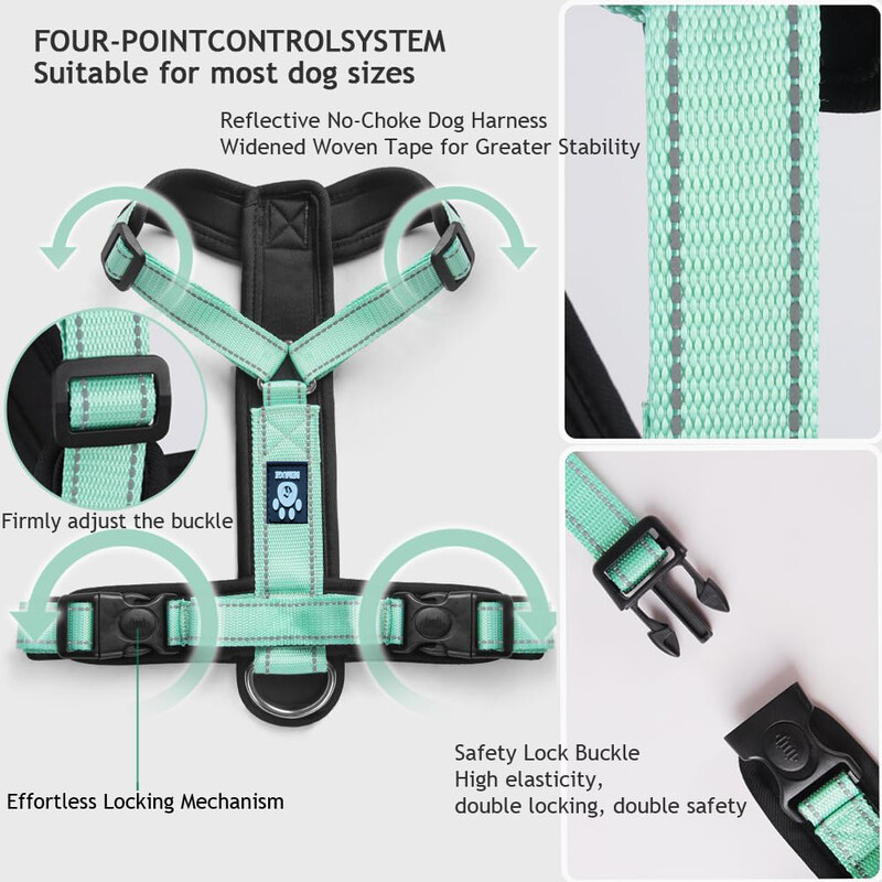 Y formos šunų diržai su reguliuojamu tvirtu nailonu, minkštu paminkštinimu, metalinėmis sagtimis ir odine rankena mažiems, vidutiniams ir dideliems šunims