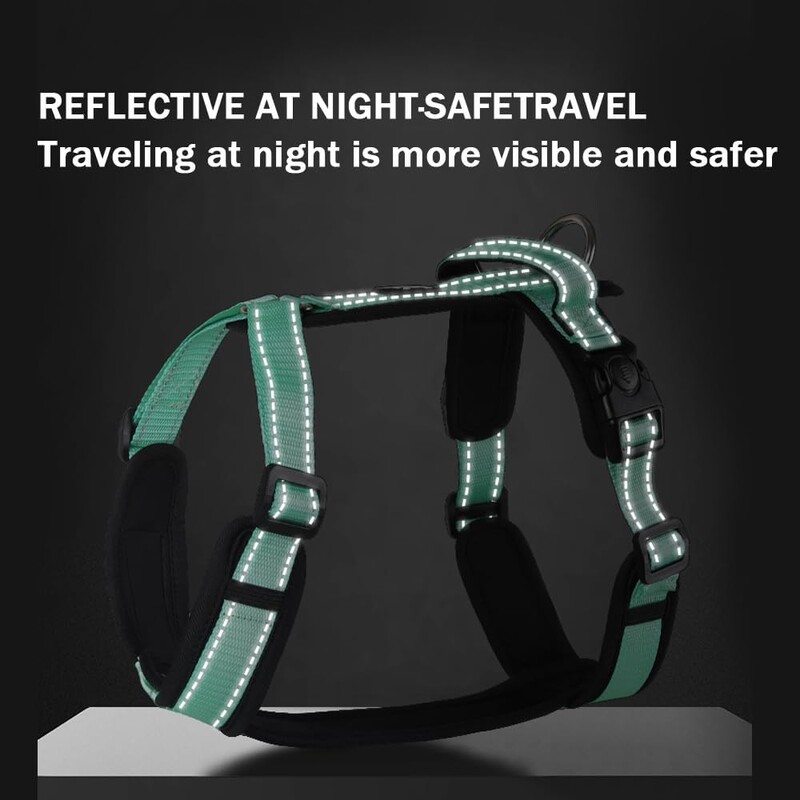 Y formos šunų diržai su reguliuojamu tvirtu nailonu, minkštu paminkštinimu, metalinėmis sagtimis ir odine rankena mažiems, vidutiniams ir dideliems šunims