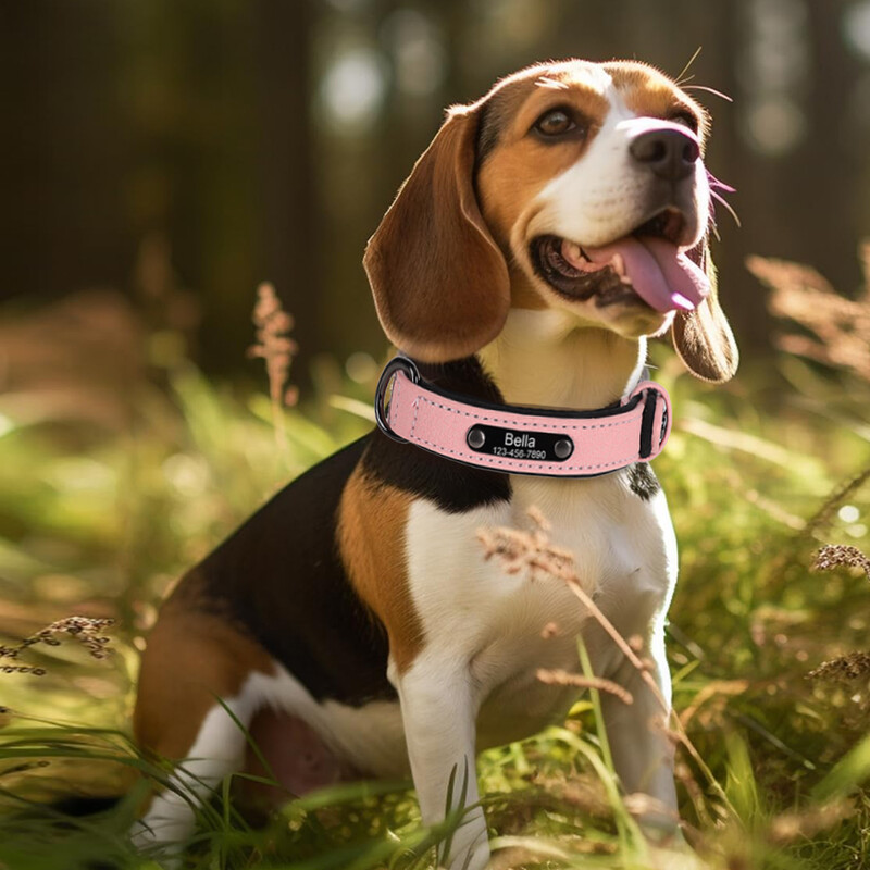 Personalizované obojky pre psov s gravírovaným menovkou, identifikačná značka, prispôsobené meno, mäkký kožený obojok pre malé, stredné a veľké psy, príslušenstvo