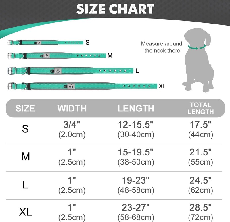 Paminkštinti šunų antkakliai mažiems vidutinio dydžio šunims Šviesą atspindintys platūs naminių gyvūnėlių antkakliai Reguliuojamas tvirtas nailoninis neopreno antkaklis šuniui
