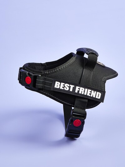 Krāsainas suņu zirglietas ar pielāgojamām etiķetēm Atstarojoša suņu kaklasiksna bez vilkšanas Droša suņu apmācība Pastaigas kāpšanas veste Bezmaksas piegāde