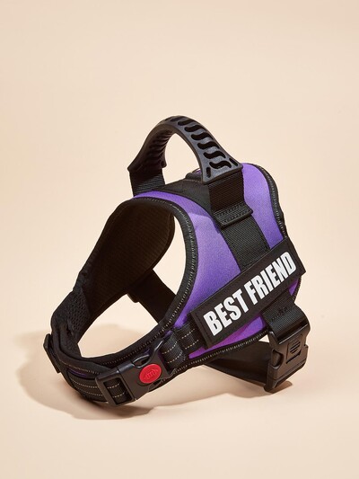 Krāsainas suņu zirglietas ar pielāgojamām etiķetēm Atstarojoša suņu kaklasiksna bez vilkšanas Droša suņu apmācība Pastaigas kāpšanas veste Bezmaksas piegāde