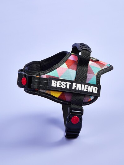 Krāsainas suņu zirglietas ar pielāgojamām etiķetēm Atstarojoša suņu kaklasiksna bez vilkšanas Droša suņu apmācība Pastaigas kāpšanas veste Bezmaksas piegāde