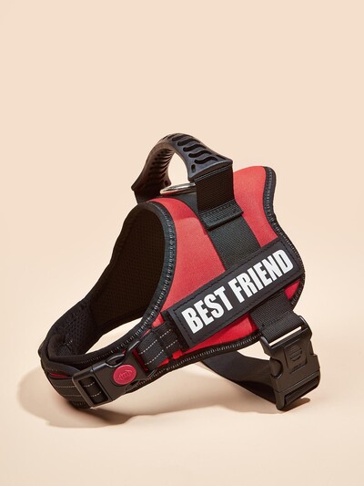 Krāsainas suņu zirglietas ar pielāgojamām etiķetēm Atstarojoša suņu kaklasiksna bez vilkšanas Droša suņu apmācība Pastaigas kāpšanas veste Bezmaksas piegāde